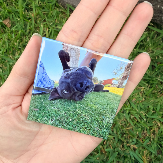 Hand holding a small rectangular photo magnet of a dog lying on grass.