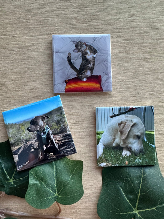 Square Keepsake Magnet - Set of 4